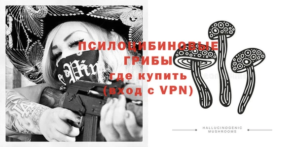 а пвп мука Богданович