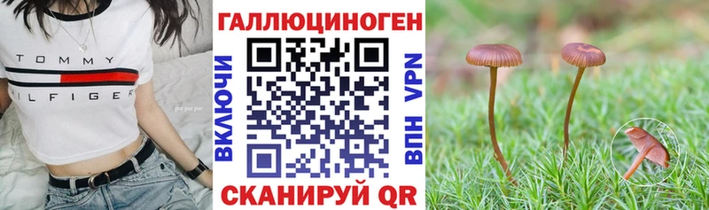 kraken зеркало  где купить наркотик  Городец  Галлюциногенные грибы Magic Shrooms 